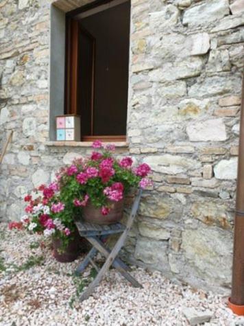 B & B La Primavera Pergola Dış mekan fotoğraf