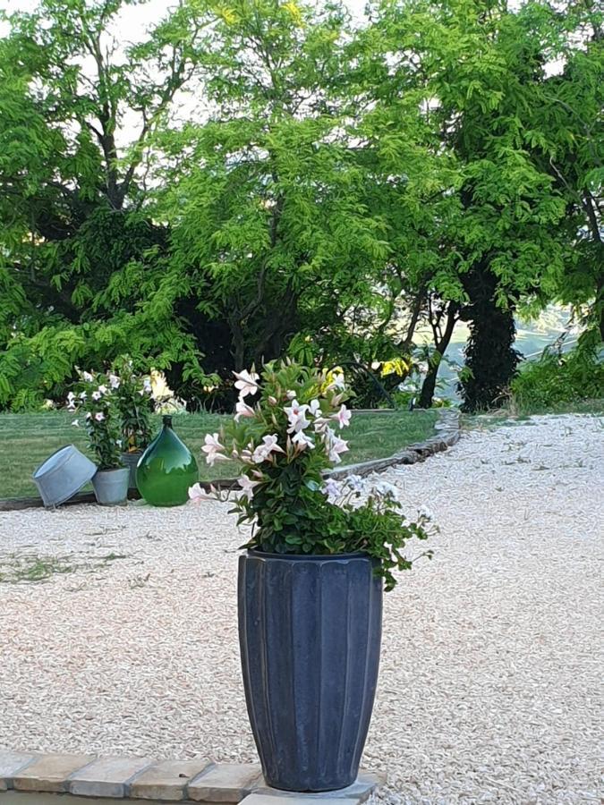 B & B La Primavera Pergola Dış mekan fotoğraf