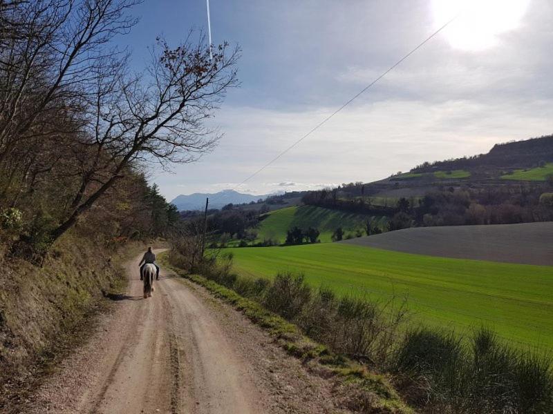 B & B La Primavera Pergola Dış mekan fotoğraf