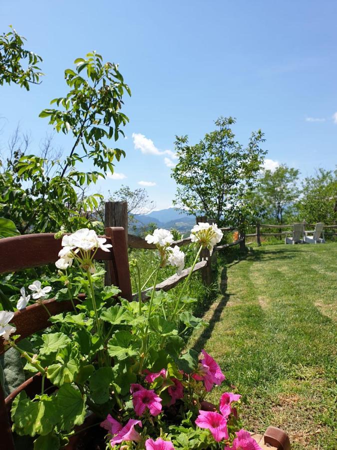 B & B La Primavera Pergola Dış mekan fotoğraf
